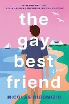 The Gay Best Friend - DiDomizio Nicolas