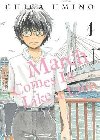 March Comes in Like a Lion 1 - Umino Chica