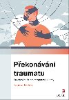 Pekonvn traumatu - Pracovn seit pro terapeuty i klienty - Janina Fischer
