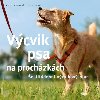 Vcvik psa na prochzkch - estitdenn trninkov pln - Katrin Hagmannov, Helge Siegerov