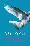 Astonishing the Gods - Okri Ben