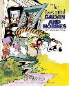 The Essential Calvin and Hobbes: A Calvin and Hobbes Treasury Volume 2 - Watterson Bill