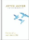 The Joy of an Uncluttered Life - Meyer Joyce