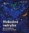 Hvzdn Velryba - Nicola Davies