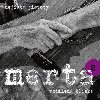 Vzdlen blzk - Nejist jistoty 2 - CD - Vladimr Merta