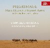 Pilgrimage / Hudebn pou Krytofa Haranta do Jeruzalma / circa 1600 - CD - Cappella Mariana & Constantinople