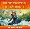 Paddington v dungli - filmov pbh - Kolektiv