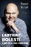 Labyrint bolesti a jak se v nm neztratit - Pavel Kol