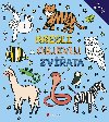 Kresli a objevuj zvata - Kolektiv