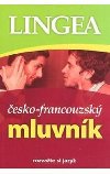 esko-francouzsk mluvnk - Kolektiv autor