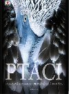 PTCI - 