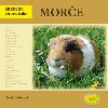 More - abeceda chovatele - Nataa Velensk