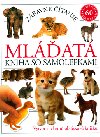MLAT - Dorling Kindersley