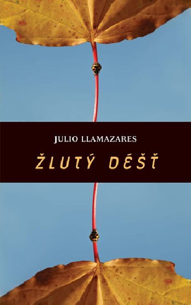 lut d鹻 - Julio Llamazares