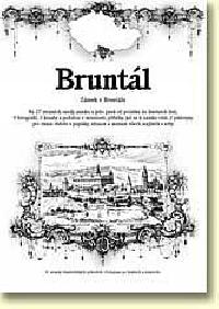 BRUNTL - ZMEK V BRUNTLE - 