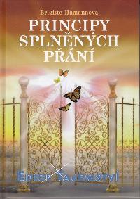 PRINCIPY SPLNNCH PN - Brigitte Hamannov