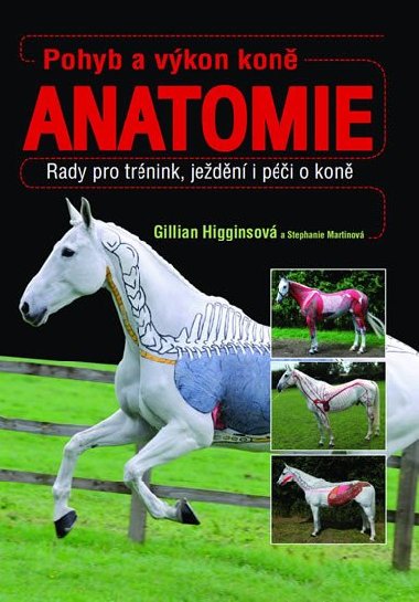 Pohyb a vkon kon - Anatomie - Gillian Higginsov; Stephanie Martinov