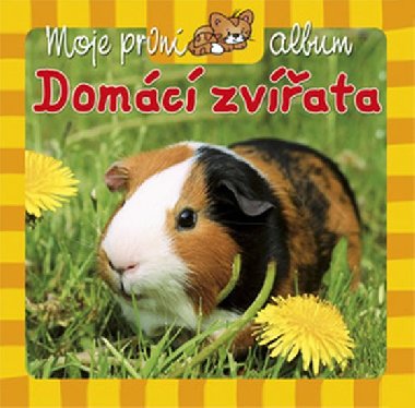 Moje prvn album Domc zvata - Aksjomat