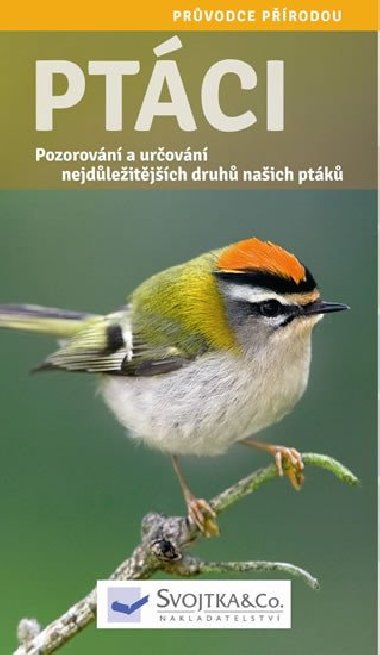 Ptci - Pozorovn a urovn nejdleitjch druh naich ptk - Svojtka