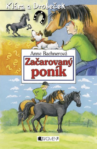 ZAAROVAN PONK - Anne Bachnerov