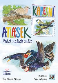Ptci naich mst - Kapesn atlsek - Jan Michal Mleziva