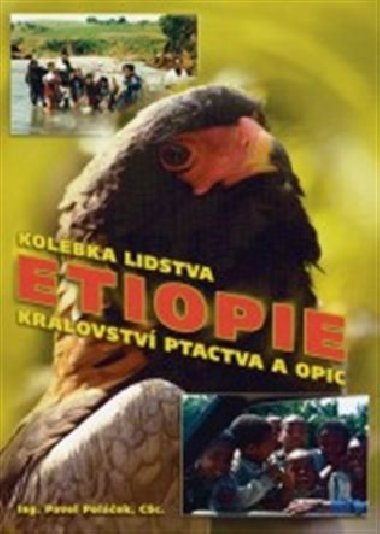 ETIOPIE - KRLOVSTV PTACTVA A OPIC - Polek Pavel
