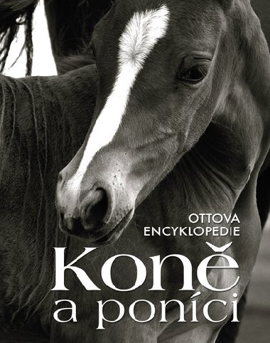 Kon a ponci - Ottova encyklopedie - Ottovo nakladatelstv