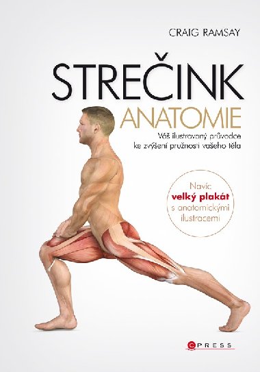 STREINK Anatomie - V ilustrovan prvodce ke zven prunosti vaeho tla - Craig Ramsay