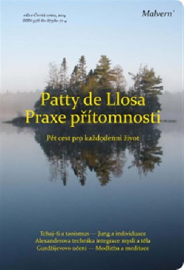Praxe ptomnosti - Llosa de Patty