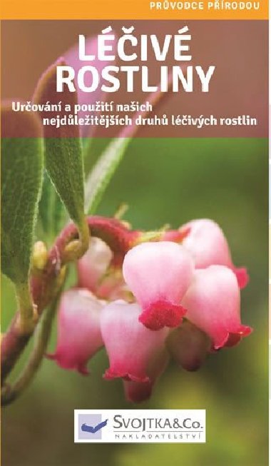 Liv rostliny - Svojtka