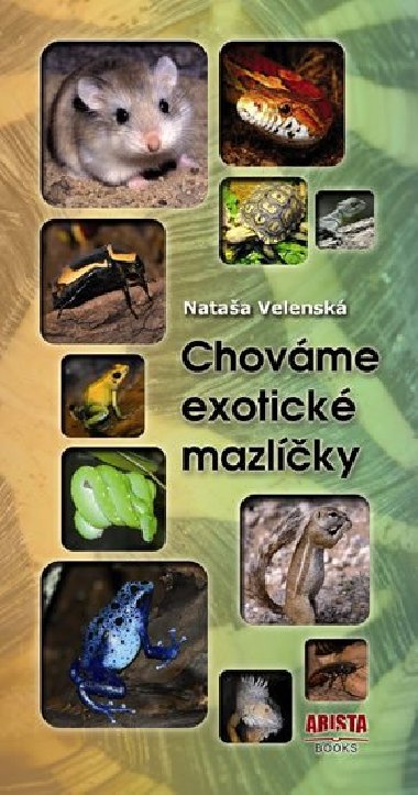 Chovme exotick mazlky - Nataa Velensk