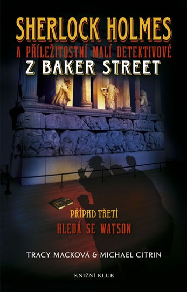 Sherlock Holmes a pleitostn mal detektivov z Baker Street 3: Hled se Watson - Mackov Tracy, Citrin Michael