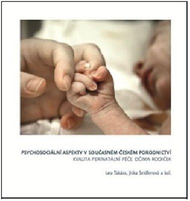 Psychosociální aspekty v současném českém porodnictví