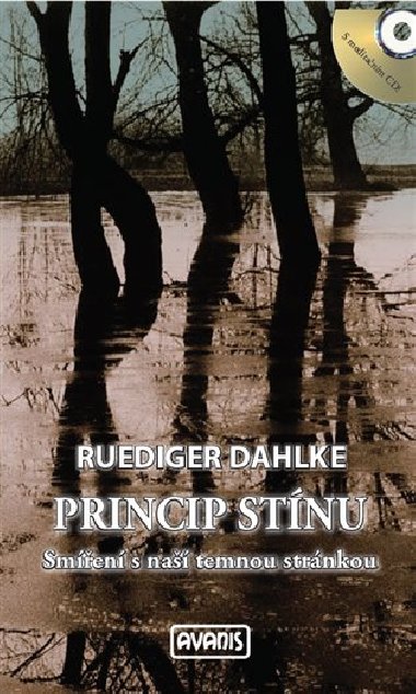 Princip stnu - Ruediger Dahlke