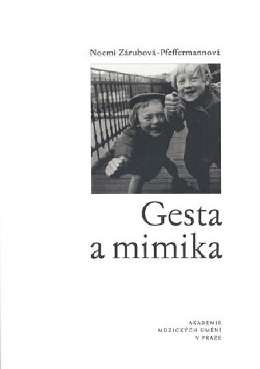 Gesta a mimika - Noemi Zrubov - Pfefferma