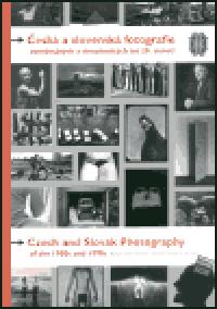 esk a slovensk fotografie osmdestch a devadestch let 20. stolet - Lucia Lendelov,Tom Pospch,Helena Rilinkov