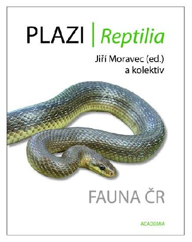 Plazi (Reptilia) - Fauna ČR - Jiří Moravec