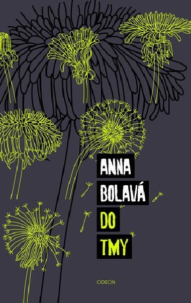 Do tmy - Anna Bolav