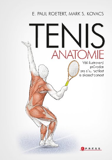 Tenis - anatomie - Roetert Paul