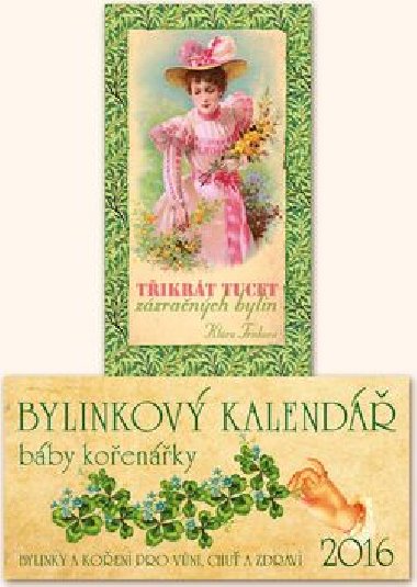 Bylinkov kalend 2016 - stoln kalend - Klra Trnkov