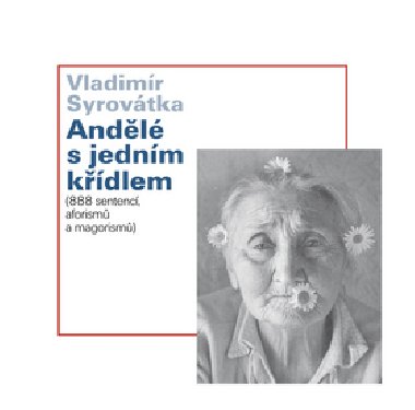 ANDL S JEDNM KDLEM - Vladimr Syrovtka