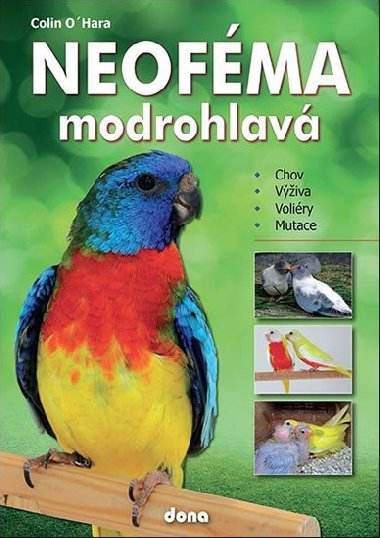 Neofma modrohlav - chovatelsk pruka - Colin OHara
