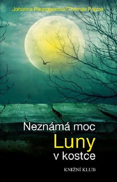 Neznm moc Luny v kostce - Johanna Paunggerov, Thomas Poppe