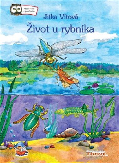 Život u rybníka - Jitka Vítová