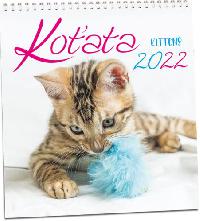 Koata - nstnn kalend 2022 - Aria