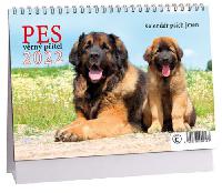 Pes - vrn ptel - stoln kalend 2022 - Aria