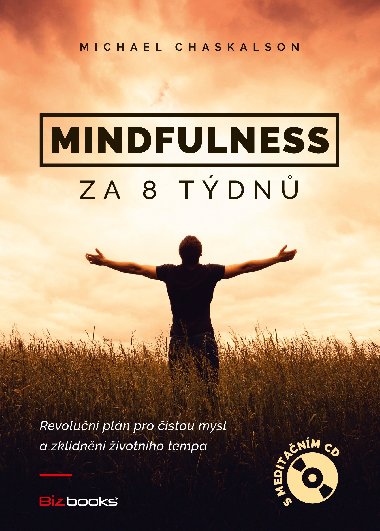 Mindfulness za 8 tdn - Michael Chaskalon