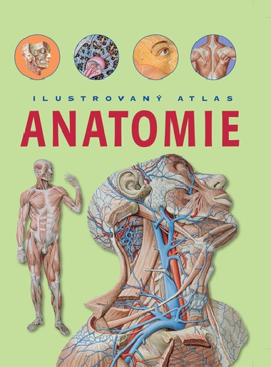 Ilustrovan atlas Anatomie - Nakladatelstv SUN