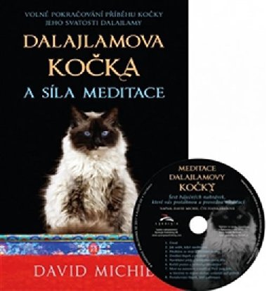 Dalajlamova koka a sla meditace + CD - David Michie