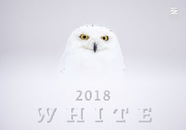 Kalend nstnn 2018 - White/Exclusive - neuveden